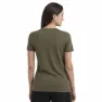 Icebreaker Merino Central Classic T-shirt Med Korta ärmar