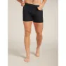 Icebreaker Merino Core Boxers