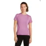 Icebreaker Merino Core Camping Circle T-shirt Med Korta ärmar