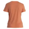 Icebreaker Merino Core Plume T-shirt Med Korta ärmar