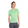 Icebreaker Merino Core Plume T-shirt Med Korta ärmar