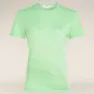 Icebreaker Merino Core Plume T-shirt Med Korta ärmar