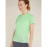 Icebreaker Merino Core Plume T-shirt Med Korta ärmar