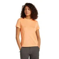 Icebreaker Merino Core T-shirt Med Korta ärmar
