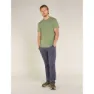 Icebreaker Merino Core T-shirt Med Korta ärmar