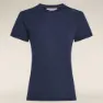 Icebreaker Merino Core T-shirt Med Korta ärmar