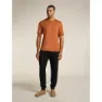 Icebreaker Merino Tech Lite Iii Relaxed Pocket T-shirt Med Korta ärmar