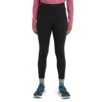 Icebreaker Speed Winter Merino Leggings Icebreaker Speed Winter Merino Leggings