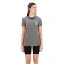 Icebreaker Tech Lite Ii Earth T-shirt Med Korta ärmar