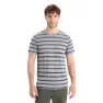 Icebreaker Wace Stipe Merino T-shirt Med Korta ärmar