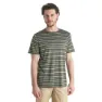 Icebreaker Wave Stripe T-shirt Med Korta ärmar