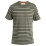 Icebreaker Wave Stripe T-shirt Med Korta ärmar