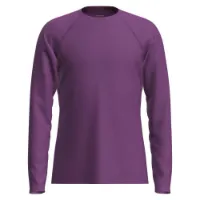 Icebreaker Women's 200 Oasis Long Sleeve Crewe