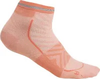 Icebreaker Women's Merino Run+ Ultralight Mini