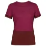 Icebreaker Zone Knit T-shirt Med Korta ärmar, Cherry / espresso / cb