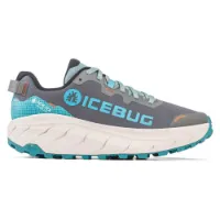 Icebug Men's Arcus 2 RB9X Gore-Tex