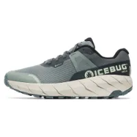Icebug Men's Arcus RB9X Gore-Tex