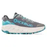 Icebug Women's Arcus 2 RB9X Gore-Tex