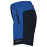 Icepeak Bastrop Shorts