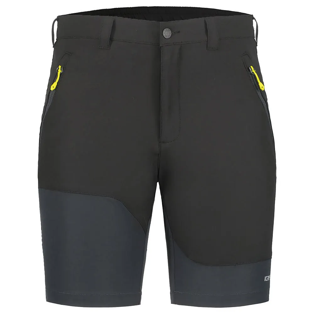 Icepeak Batavia Shorts