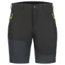 Icepeak Batavia Shorts