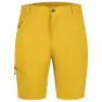 Icepeak Berwyn Shorts