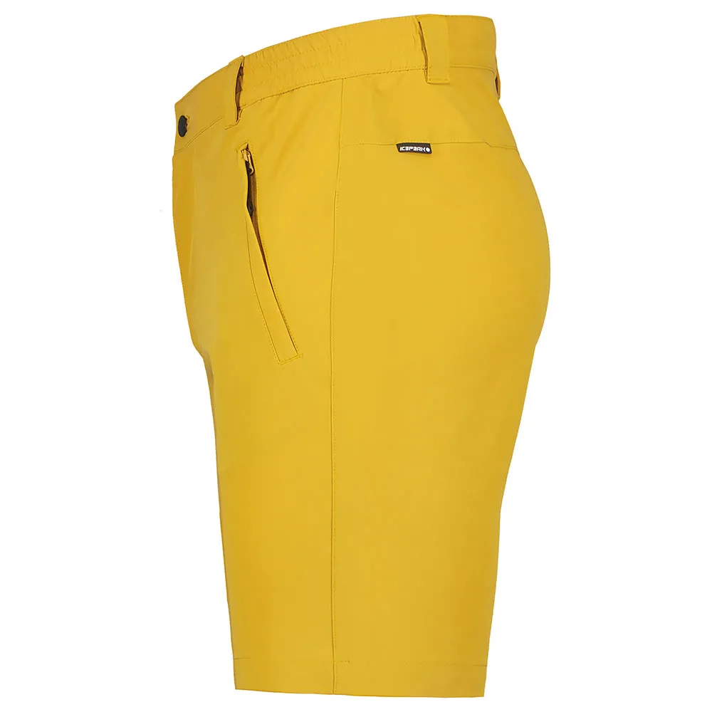 Icepeak Berwyn Shorts