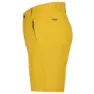 Icepeak Berwyn Shorts