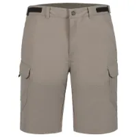 Icepeak Braswell Shorts Icepeak Braswell Shorts