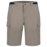 Icepeak Braswell Shorts
