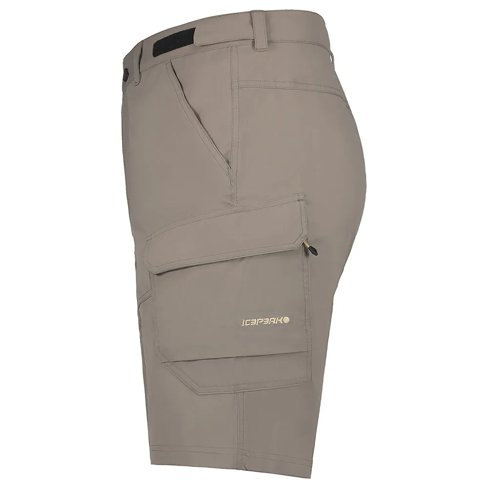 Icepeak Braswell Shorts