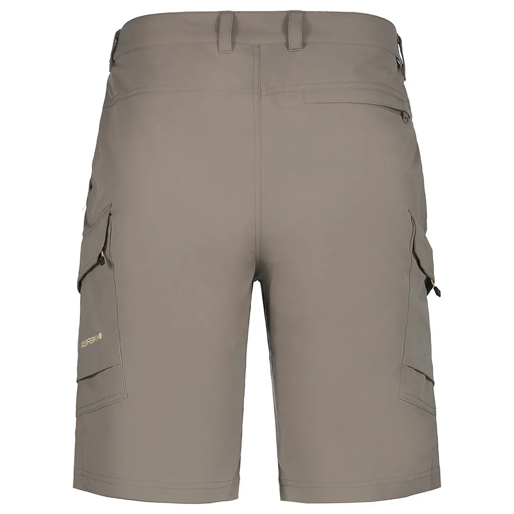Icepeak Braswell Shorts
