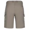 Icepeak Braswell Shorts