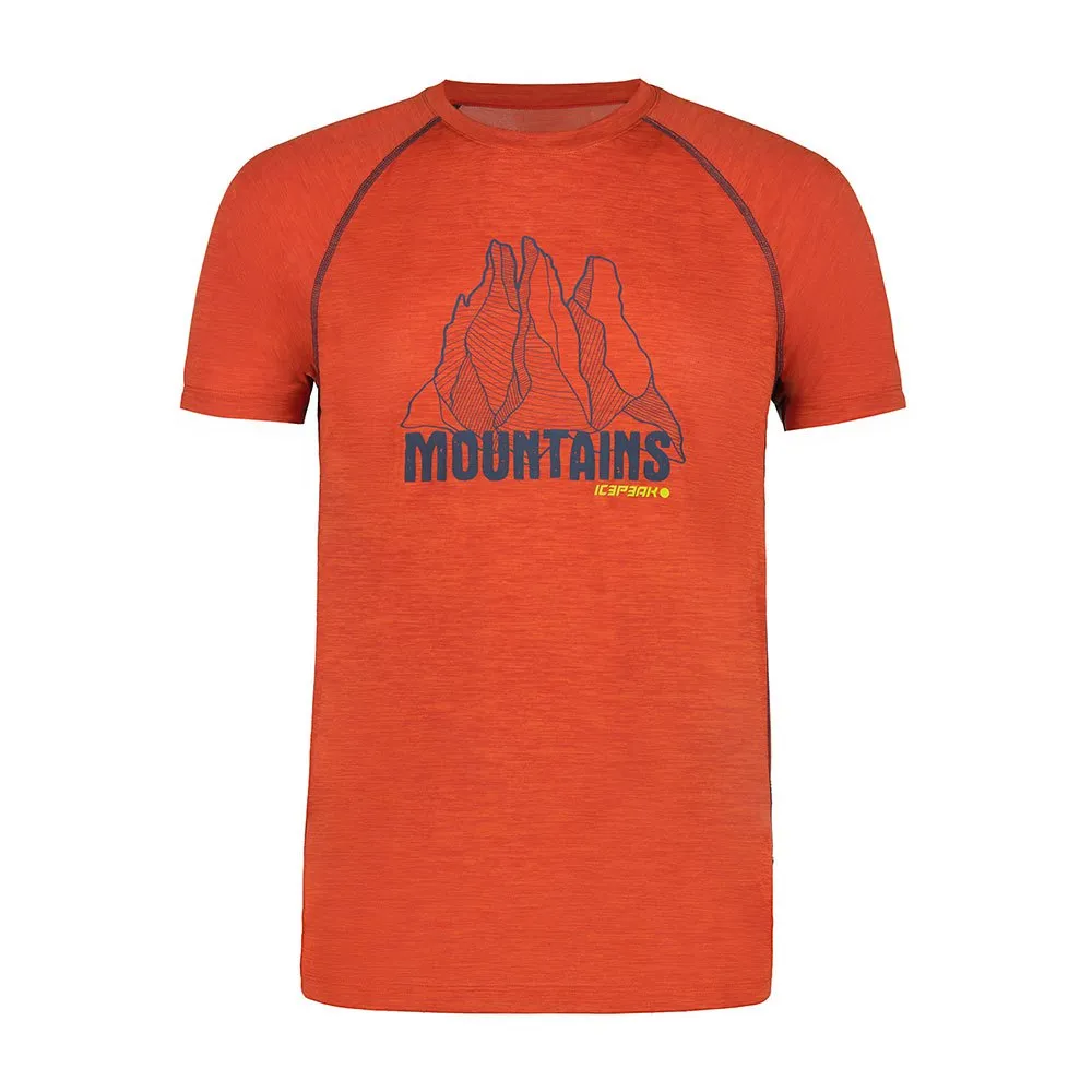 Icepeak Destin T-shirt Med Korta ärmar