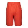Icepeak Konz Shorts