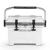 Igloo Coolers Imx 24 22l Styv Bärbar Kylbox Igloo Coolers Imx 24 22l Styv Bärbar Kylbox