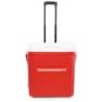 Igloo Coolers Laguna 57l Styv Bärbar Kylbox