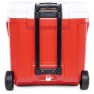 Igloo Coolers Laguna 57l Styv Bärbar Kylbox