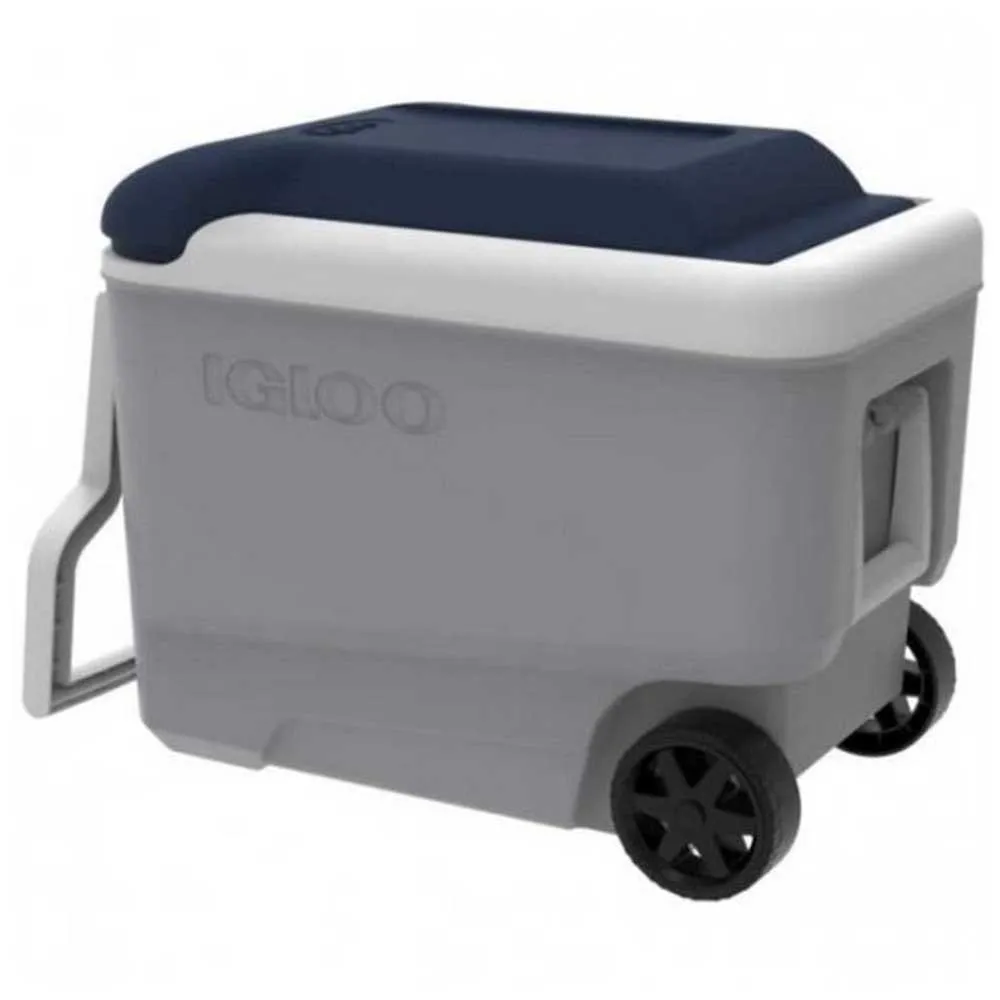 Igloo Coolers Maxcold 40l Styv Bärbar Kylbox, Grey / white / blue, 58 x 33 x 45cm