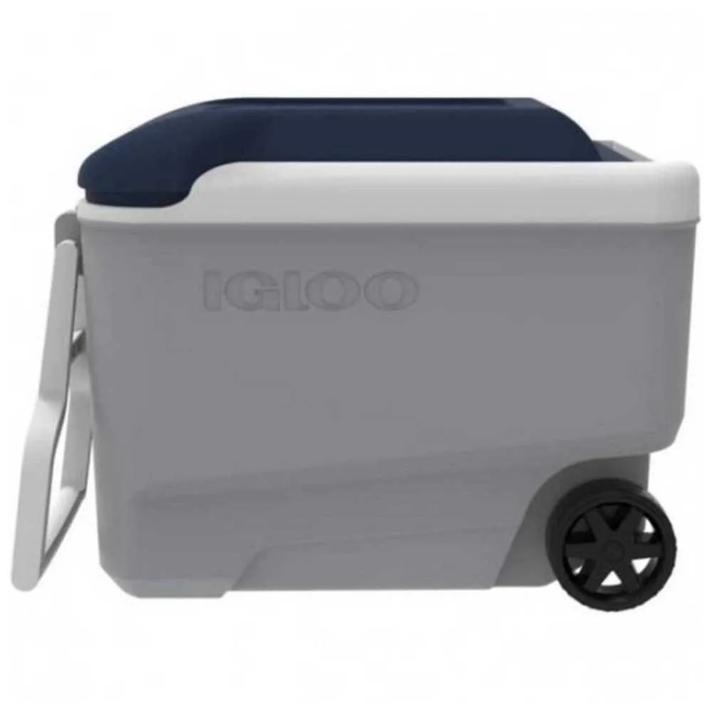Igloo Coolers Maxcold 40l Styv Bärbar Kylbox, Grey / white / blue, 58 x 33 x 45cm