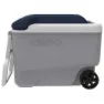 Igloo Coolers Maxcold 40l Styv Bärbar Kylbox, Grey / white / blue, 58 x 33 x 45cm