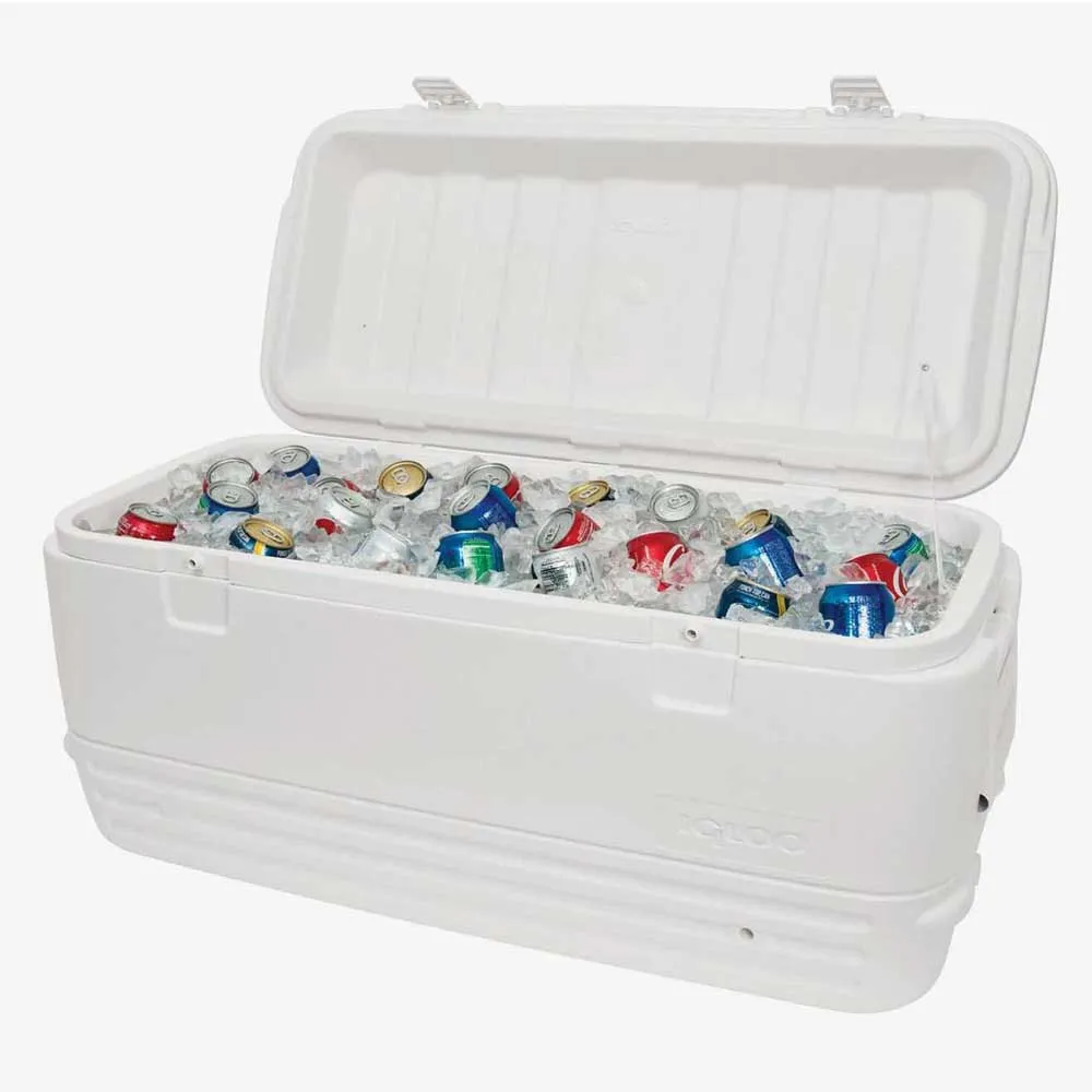 Igloo Coolers Polar 120 114l Styv Bärbar Kylbox, White, One Size