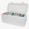 Igloo Coolers Polar 120 114l Styv Bärbar Kylbox, White, One Size