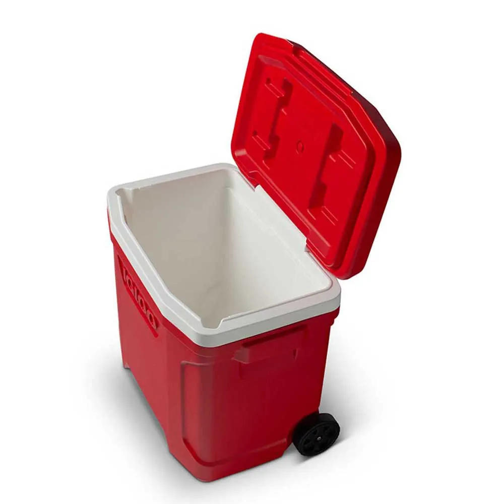 Igloo Coolers Profile 26l Styv Bärbar Kylbox, Red, 46 x 33 x 42cm