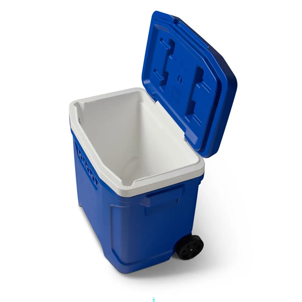 Igloo Coolers Profile Majestic 28 26l Styv Bärbar Kylbox, Blue, One Size