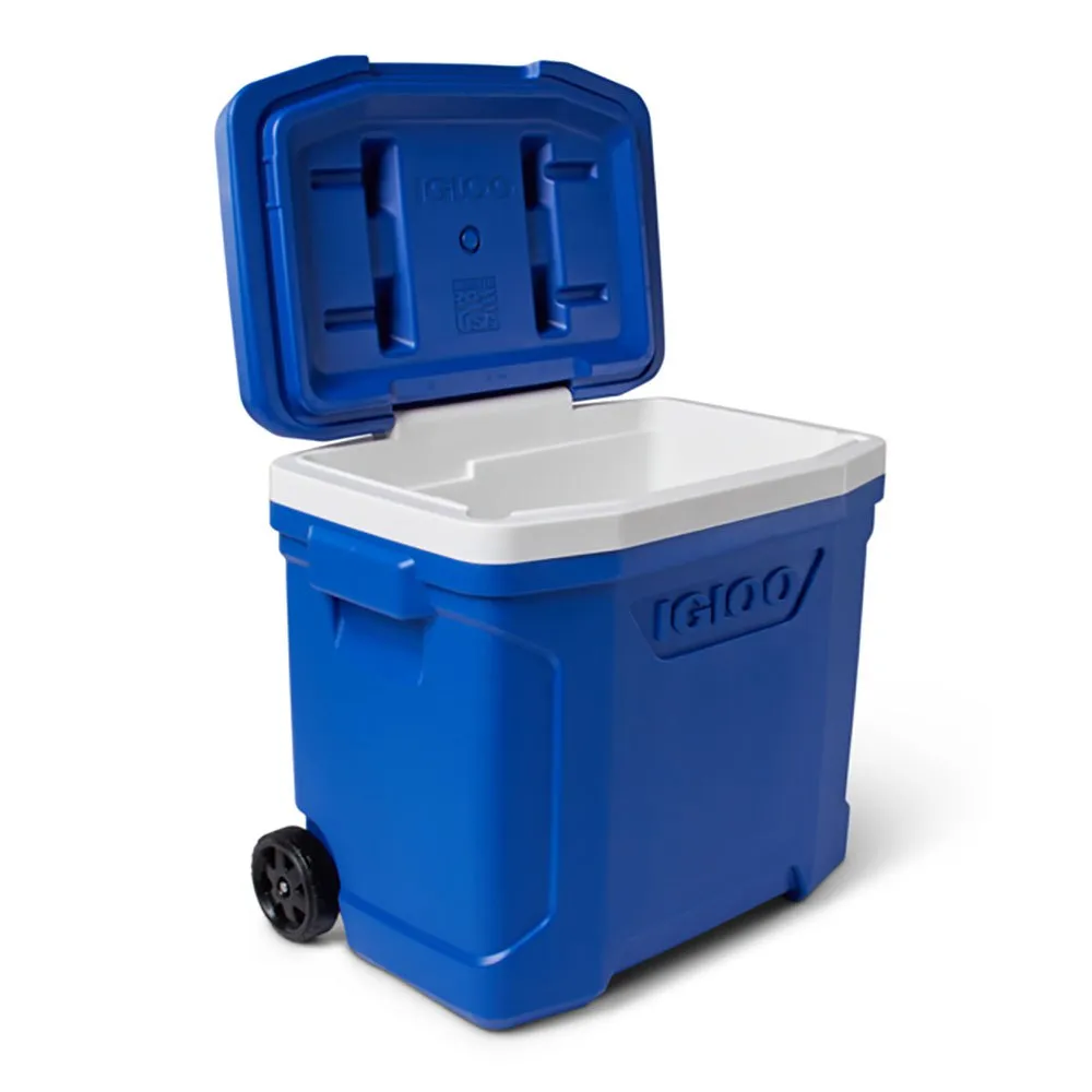 Igloo Coolers Profile Majestic 28 26l Styv Bärbar Kylbox, Blue, One Size