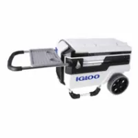 Igloo Coolers Trailmate Marine 70 66l Styv Bärbar Kylbox Igloo Coolers Trailmate Marine 70 66l Styv Bärbar Kylbox