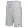 Iguana Ichiro Shorts