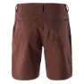 Iguana Vikkin Shorts