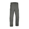 Wolf grey